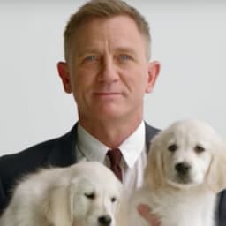 Daniel Craig Cuddles With Adorable Puppies in New Promo for Charity Campaign -- Watch!