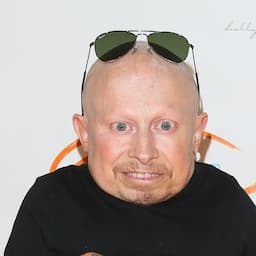 'Austin Powers' Star Verne Troyer Hospitalized for Alcohol Addiction, Says He's 'Checking Into a Rehab Center'