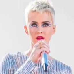 RELATED: Katy Perry's 'Witness' Tour Postponed Due to Production Delays, Opening Acts Revealed