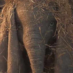 'Dumbo' Comes to Life in First Magical Teaser Trailer for Tim Burton's Live-Action Movie