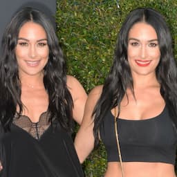 Nikki and Brie Bella Are Both Pregnant!