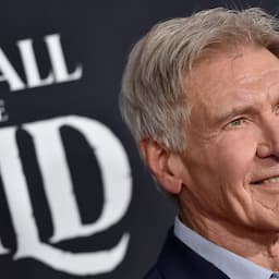 Harrison Ford Injures Shoulder Rehearsing 'Indiana Jones' Fight Scene