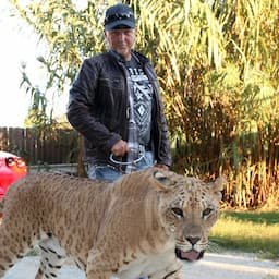 'Tiger King's Jeff & Lauren Lowe Have Over 60 Big Cats Seized in Raid