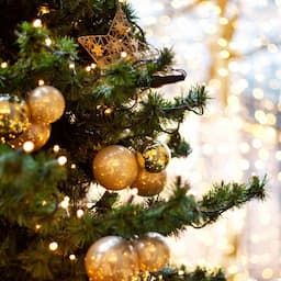 The Best Christmas Decor Ideas We Discovered on TikTok, From Viral Christmas Trees to Velvet Ornaments