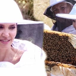 Angelina Jolie Demonstrates the Art of Beekeeping: Watch
