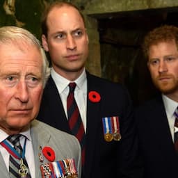 Palace Responds to Prince Charles Accusation in New Book