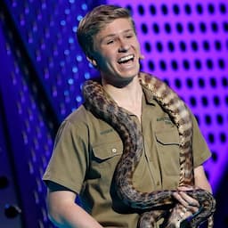 Watch Robert Irwin Wrangle a Snake From the Road Bare-Handed