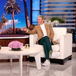 Ellen DeGeneres Gets Advice From David Letterman About Ending Her Show