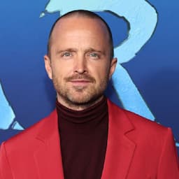 Aaron Paul Legally Changes Son's Name and His Family's Last Name Too