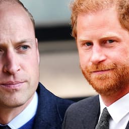 Prince Harry Calls Prince William His 'Archnemesis': Inside Royal Rift