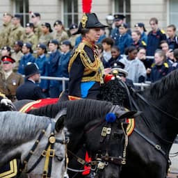 Princess Anne Steals the Show on Horseback After Coronation 