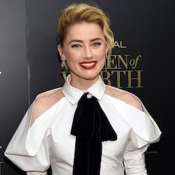 Amber Heard Not Facing Further Charges Over Illegal Import of Her Dogs