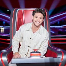 'The Voice' Playoffs: Which Team Niall Singers Made the Live Shows?