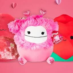 Fall in Love With These Adorable Valentine's Day Squishmallows