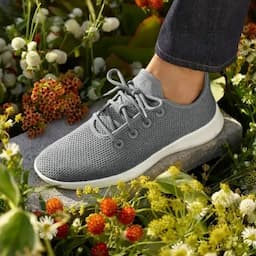 Run to Allbirds' Secret Sale and Take 50% Off Sneakers for Fall