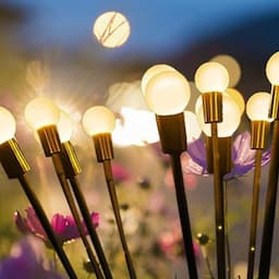 The 15 Best Outdoor Solar Lights to Brighten Your Yard This Spring