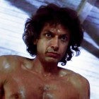 Fans Hoping Jeff Goldblum Makes 'SNL' Appearance as 'The Fly'