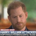 Prince Harry on How Princess Diana Would Feel About His Fallout With Prince William 