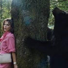 How to Watch 'Cocaine Bear' - Now Streaming
