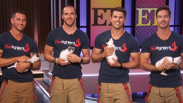 CatCon 2022: Adopt Kittens and Raise Funds for Charities With Australian Firefighters