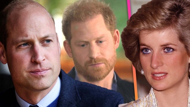 Prince Harry on How Princess Diana Would Feel About His Fallout With Prince William 