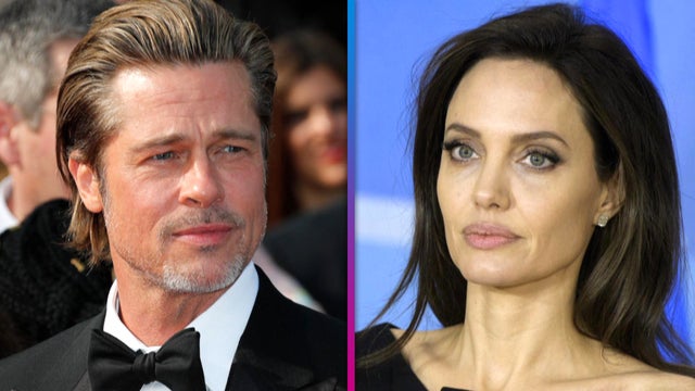 Brad Pitt Alleges Angelina Jolie 'Secretly' Sold Her Share of French Vineyard to Harm Him