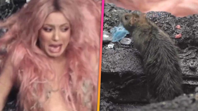 Shakira Screams as Rat Crawls Toward Her During Music Video Shoot 