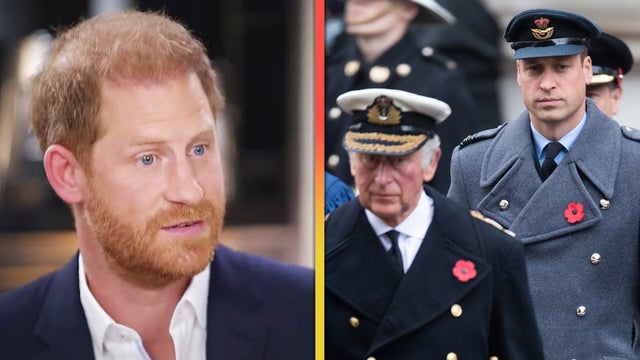 Prince Harry Speaks Out on Royal Rift and a 'Central' Point Behind It