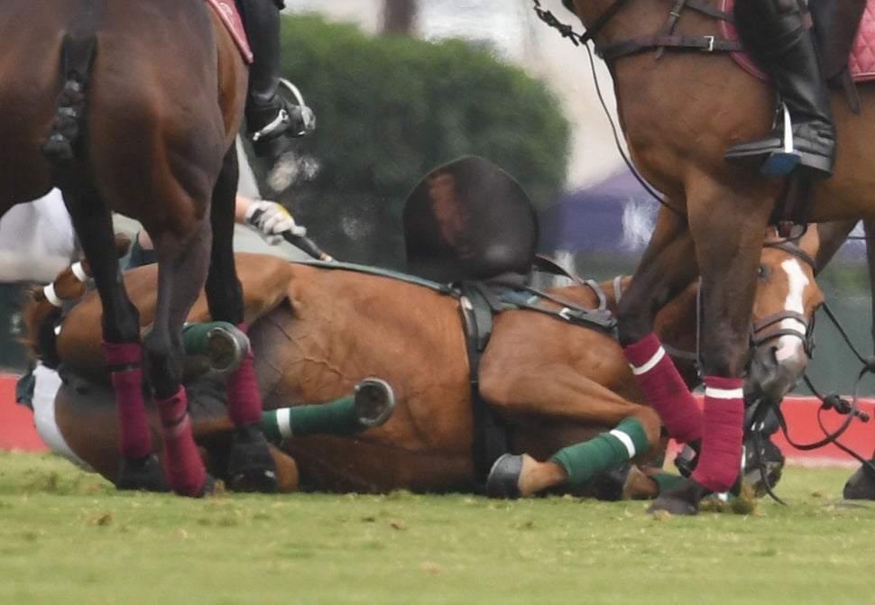 Prince Harry falls off horse