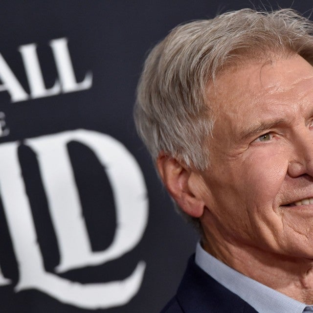 Harrison Ford at the Premiere of The Call of the Wild in feb 2020