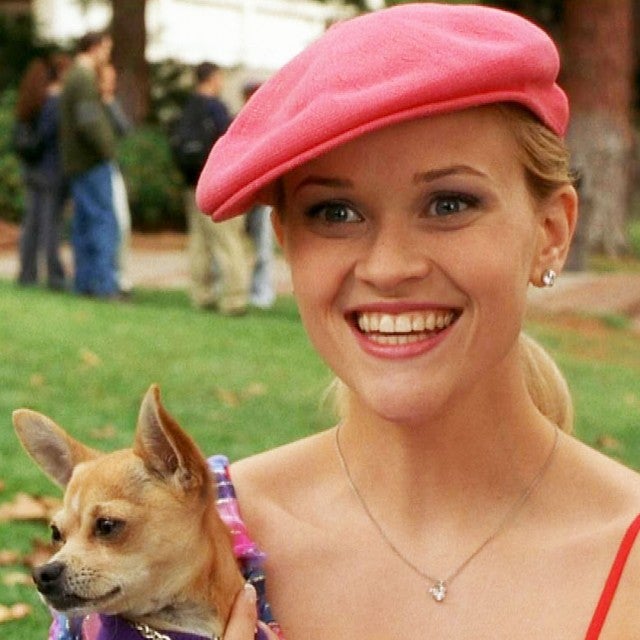 ‘Legally Blonde 3’: Everything We Know About Elle Woods’ Return