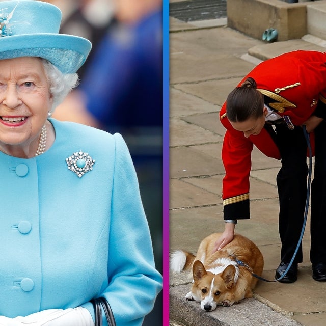 Queen Elizabeth's Dog Trainer Says Corgis Are 'Perceptive' and Aware of Her Death (Exclusive)