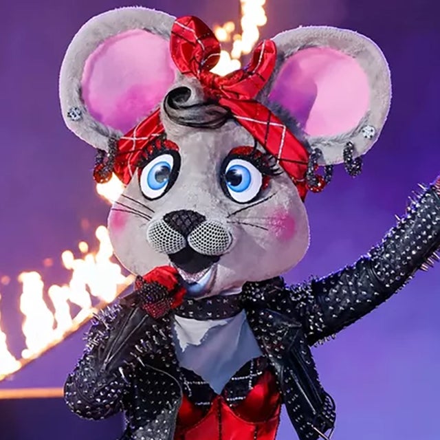 Anonymouse on 'The Masked Singer'